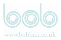 Premier Interior Systems Bob Hair Logo